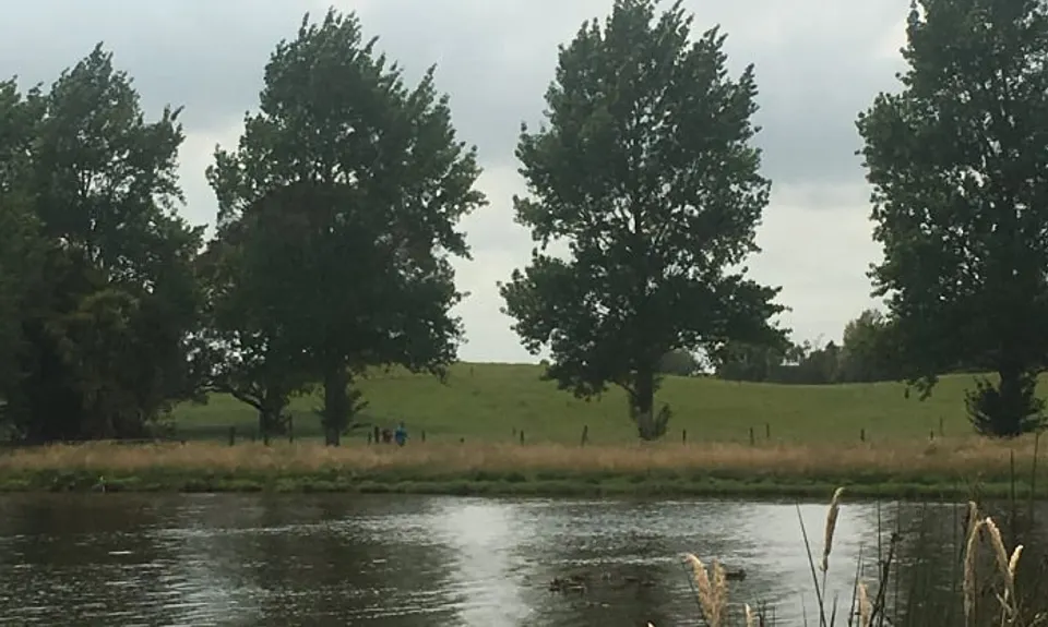 Lake D Dash, Waikato