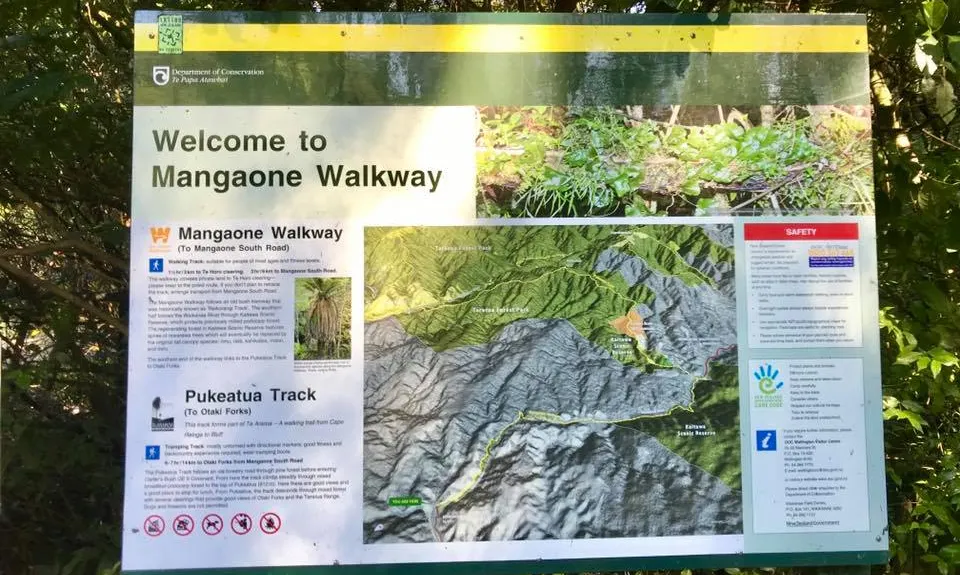 Mangaone Return, Wellington