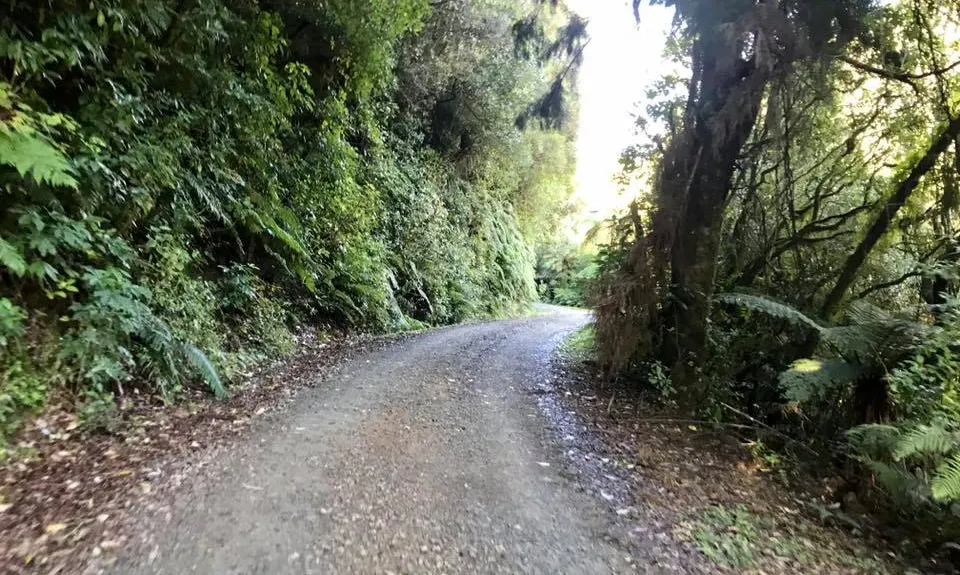 Mangaone Return, Wellington