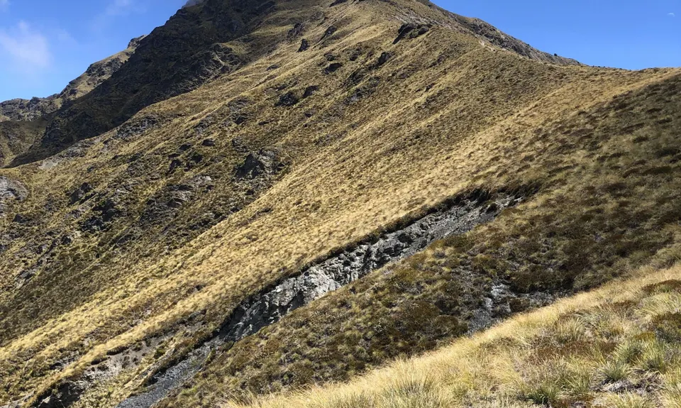 Ben Lomond via Tiki Trail, Otago
