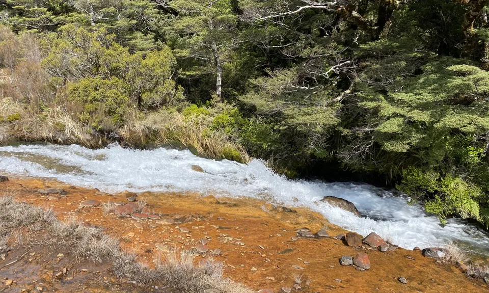 Silica Rapids trail, Manawatu - Wanganui