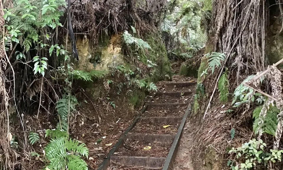 Waihi Wandering, Bay of Plenty