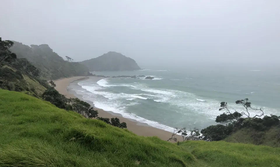Whananaki Coastal Track, Northland
