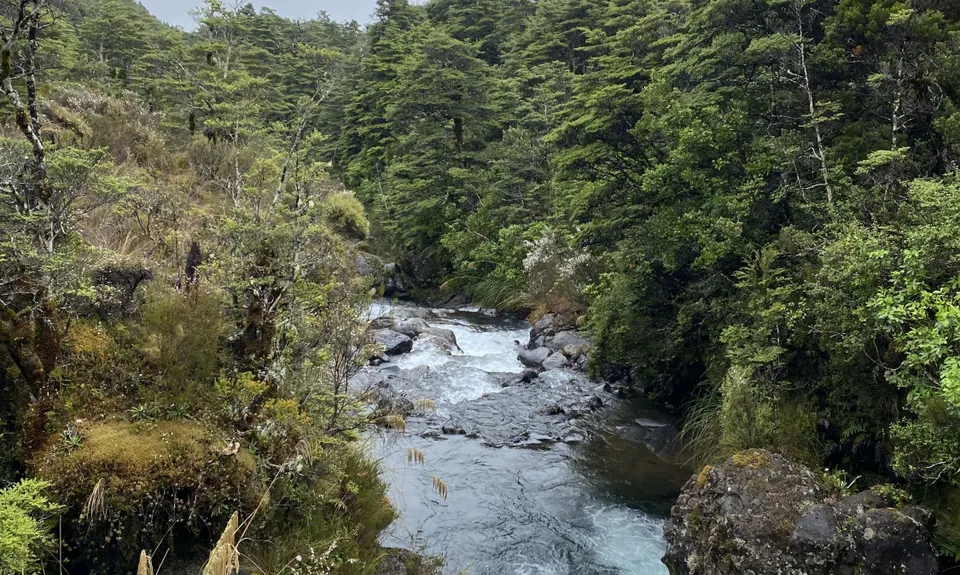 Silica Rapids trail, Manawatu - Wanganui