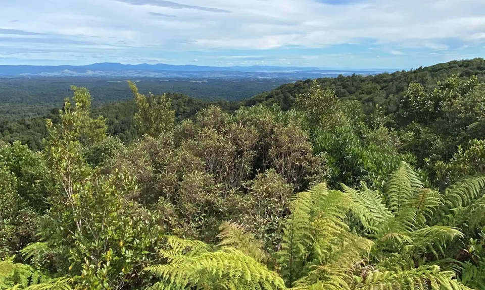 Otainewainuku - Whataroa Falls, Bay of Plenty