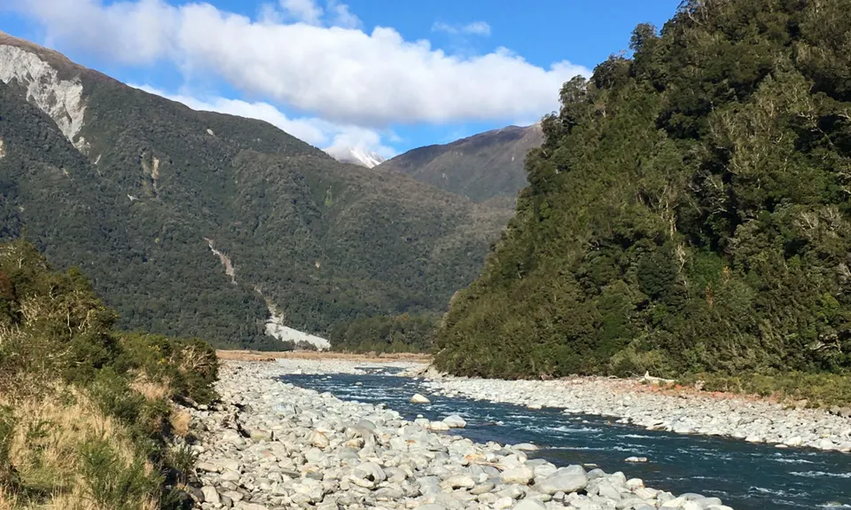 The Taipo, West Coast