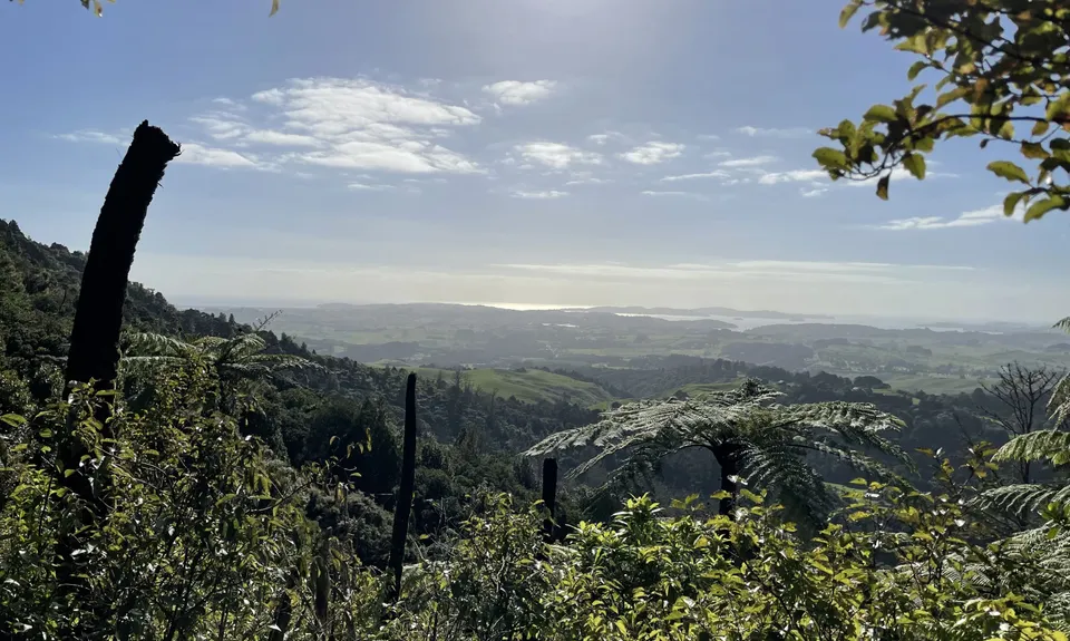 Matakana to Dome Valley Return, Auckland