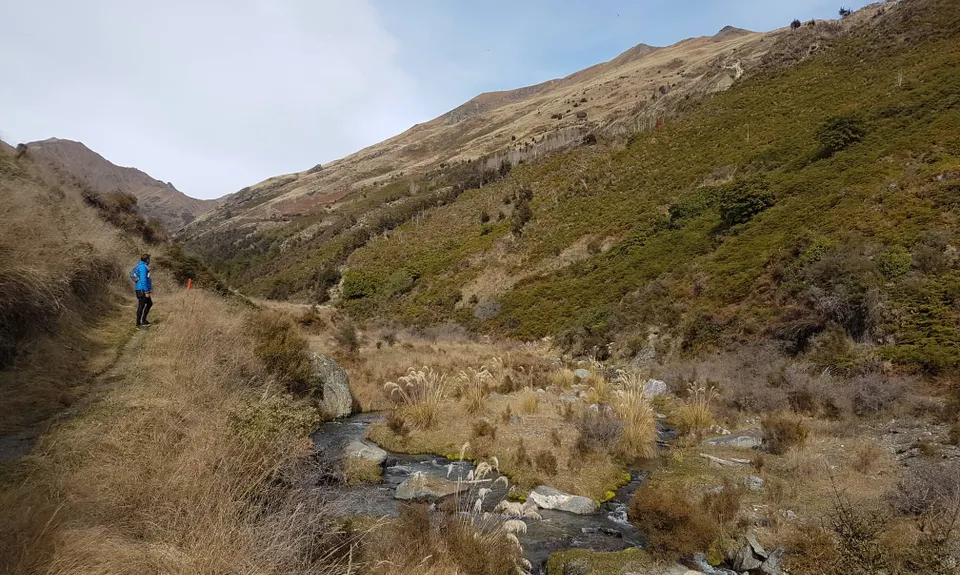 Fern Burn Hut, Otago