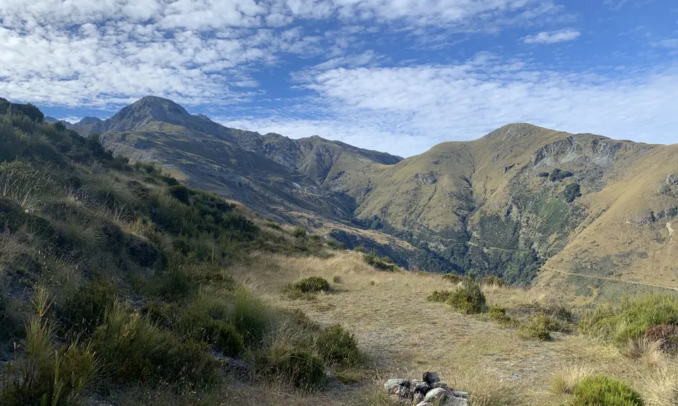 McIntosh - Judah Loop , Otago