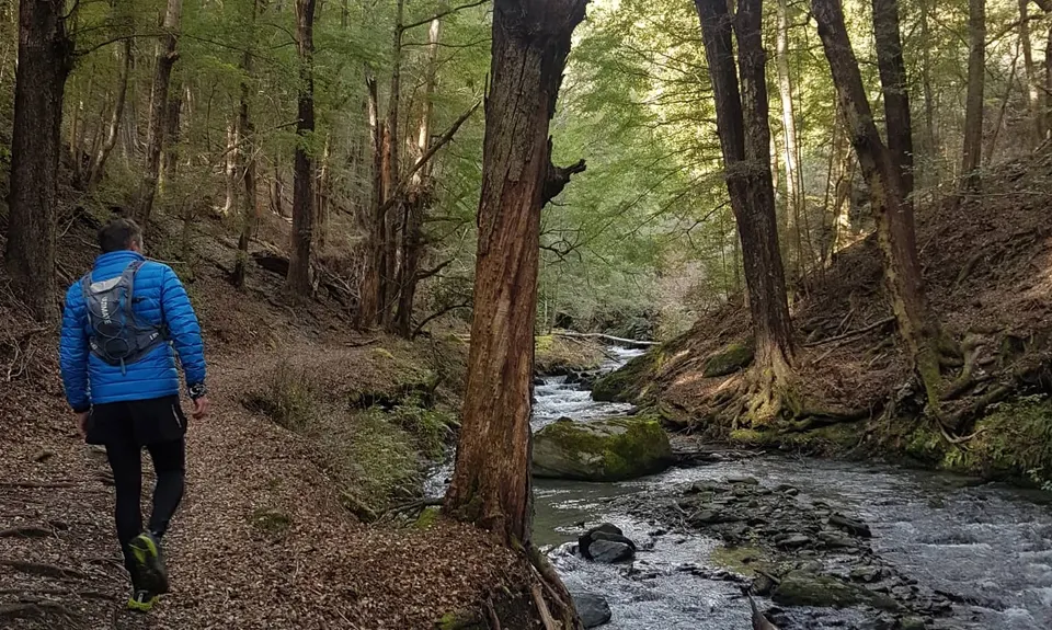 Fern Burn Hut, Otago