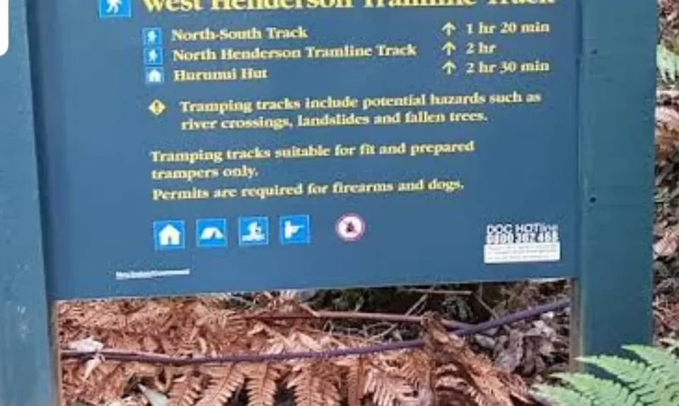 Henderson Tramline - Kaimai , Bay of Plenty