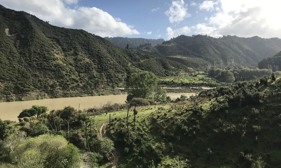 Atene Skyline Track, Manawatu - Wanganui