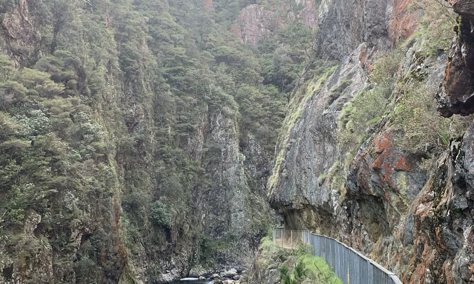 Karangahake Gold, Waikato