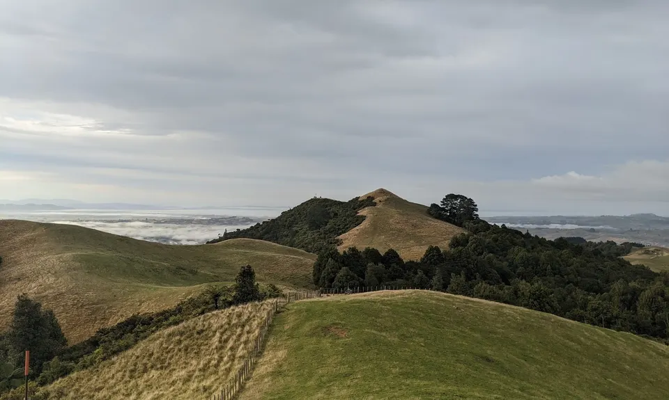 Mt William Wacky Walkway, Auckland