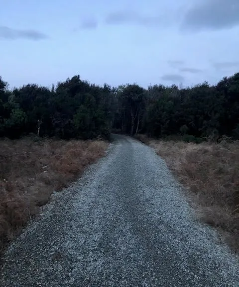 Waiau River Loop, Southland
