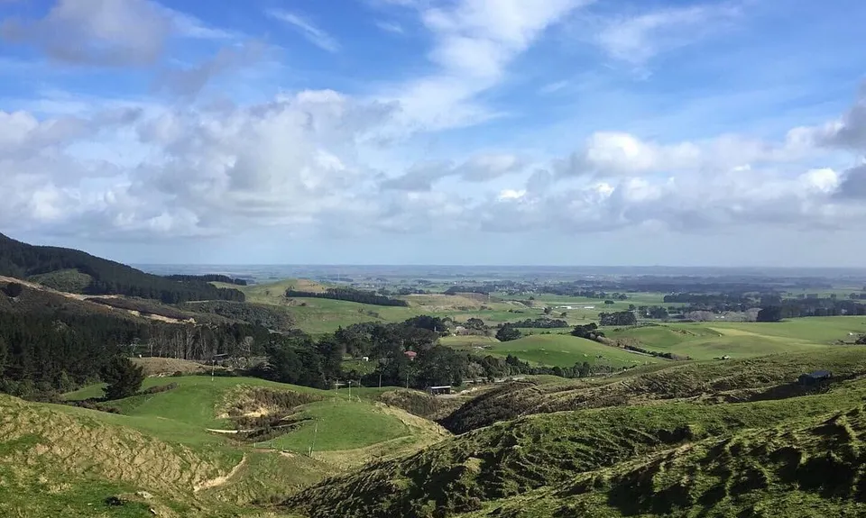 Dam Block Link, Manawatu - Wanganui