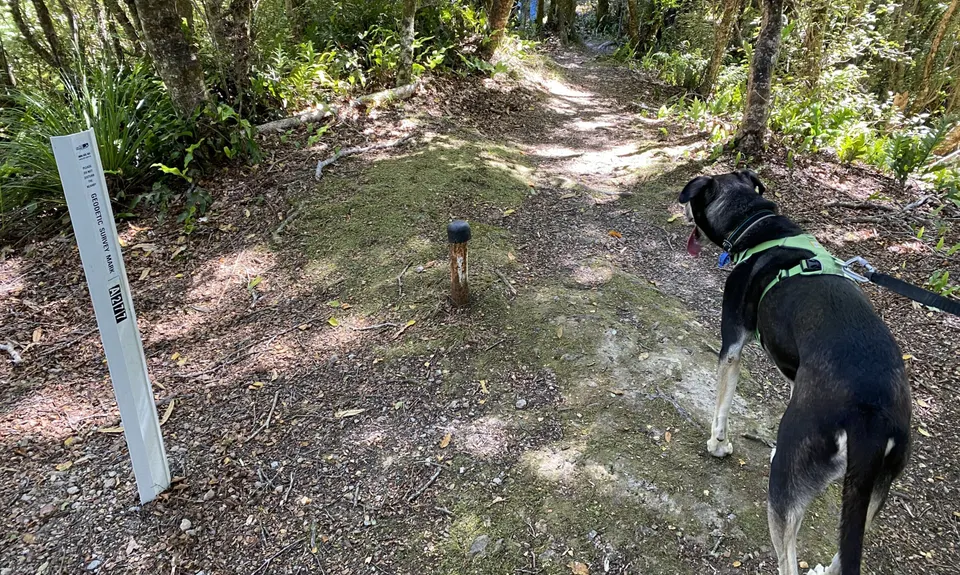 Rata Ridge, Wellington