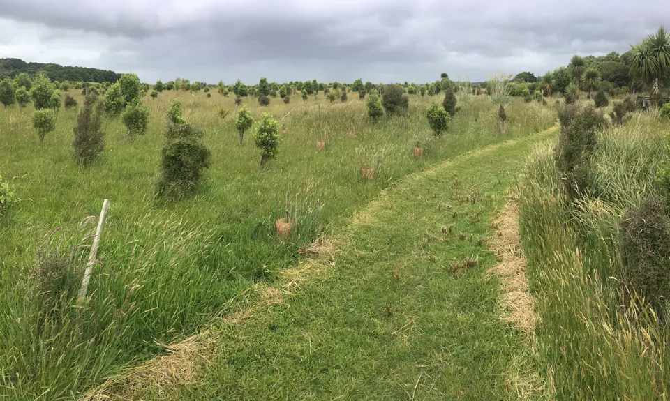 Nan and Gramps, Southland