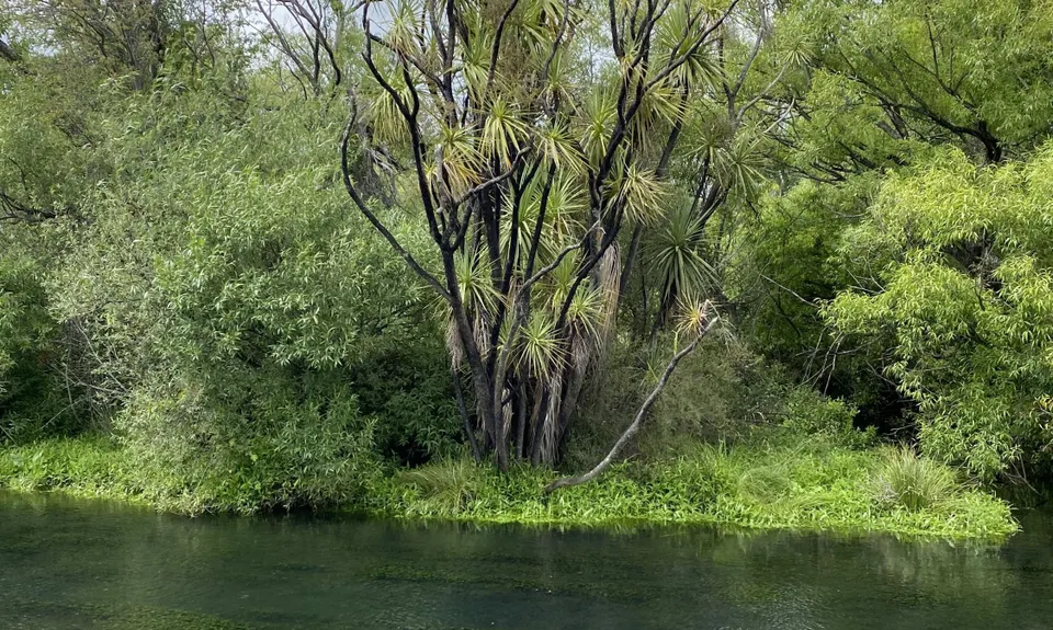 Lagoon-a-Seeker, Marlborough