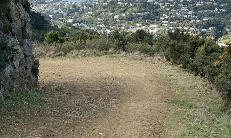 Graveyard Shift, Wellington