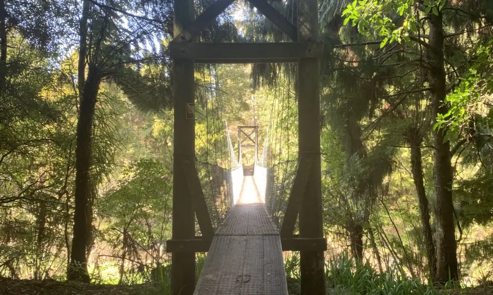 Karangahake Gold, Waikato