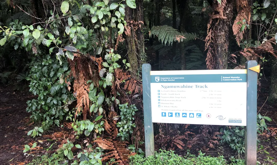 Ngamuwahine - Bobs Loop, Bay of Plenty