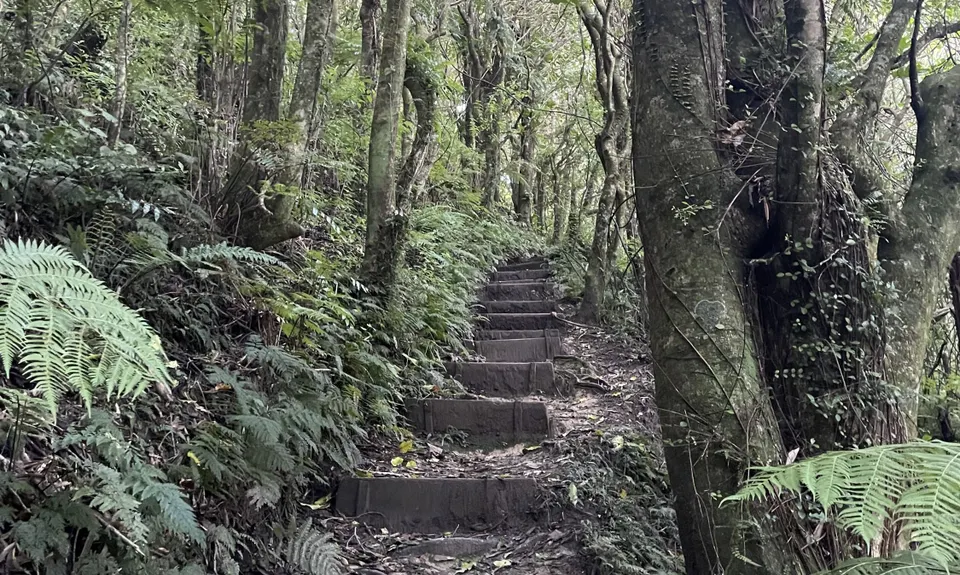 Linking the Reserves, Wellington