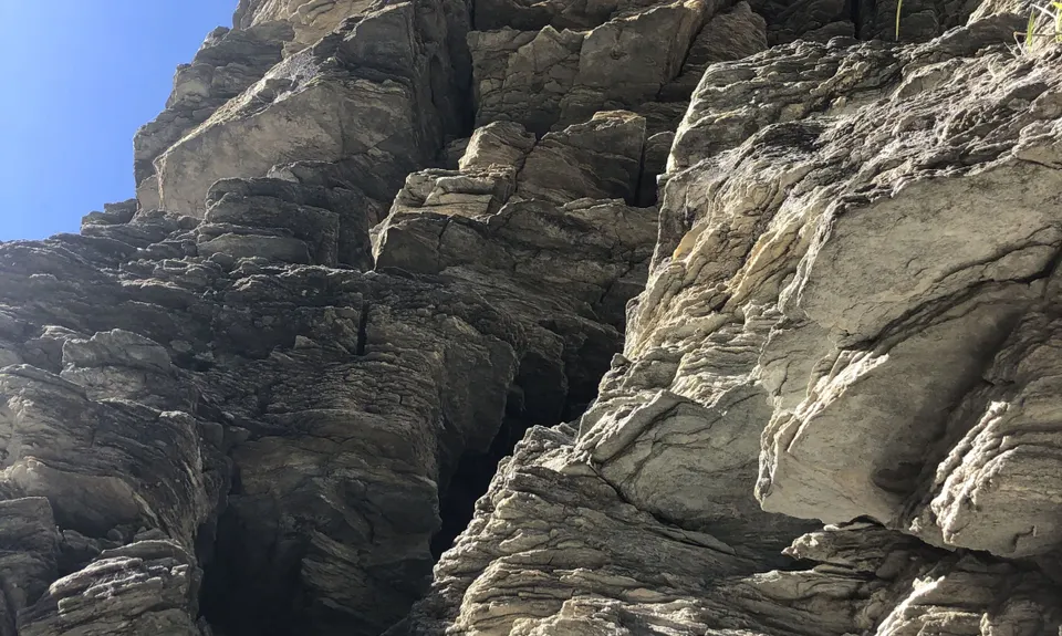 New Chums Loop, Otago