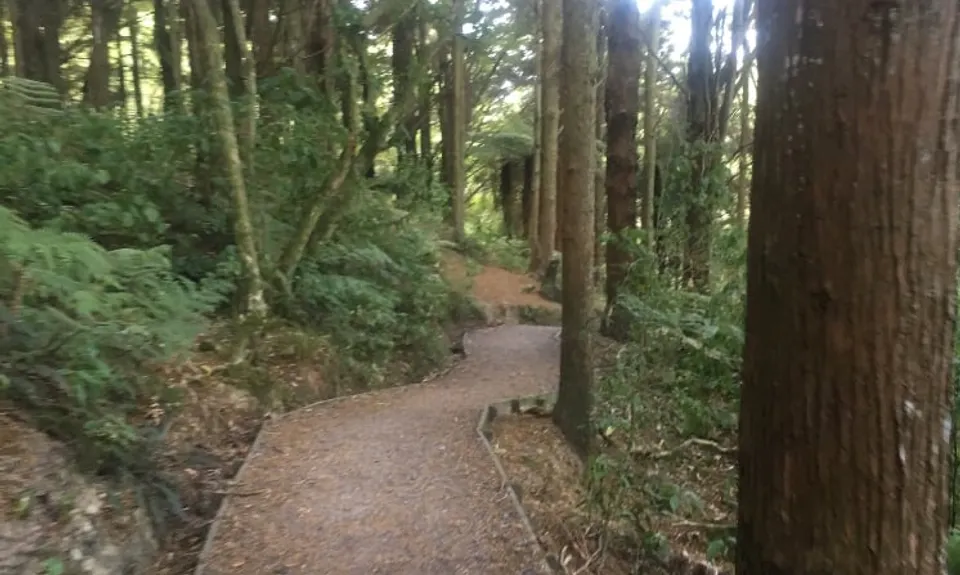 Mangemangeroa Track, Auckland