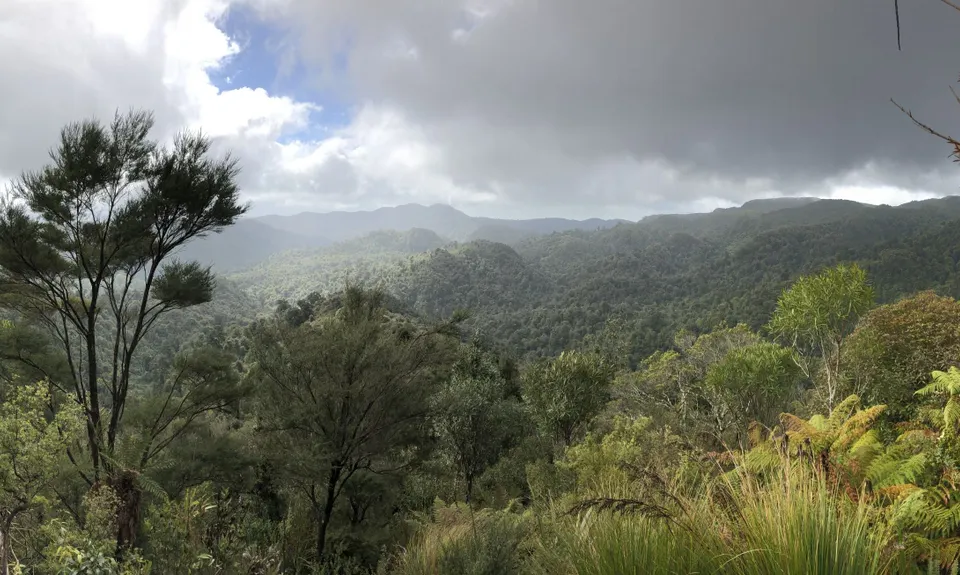 Te Aroha Killer Loop, Waikato