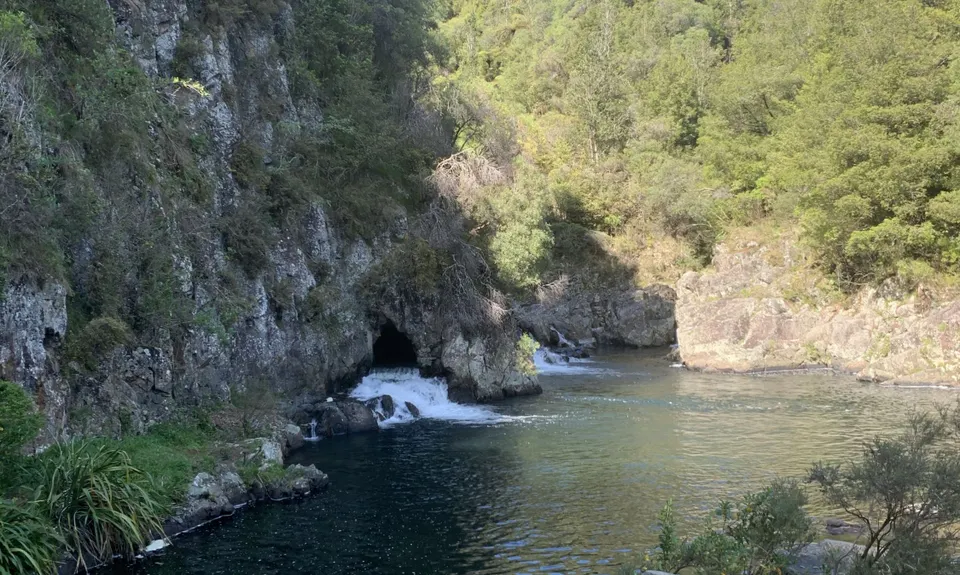 Karangahake Gold, Waikato