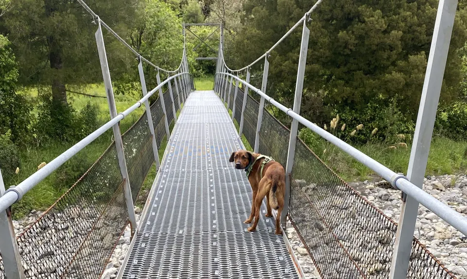 Arcus Loop Track, Wellington