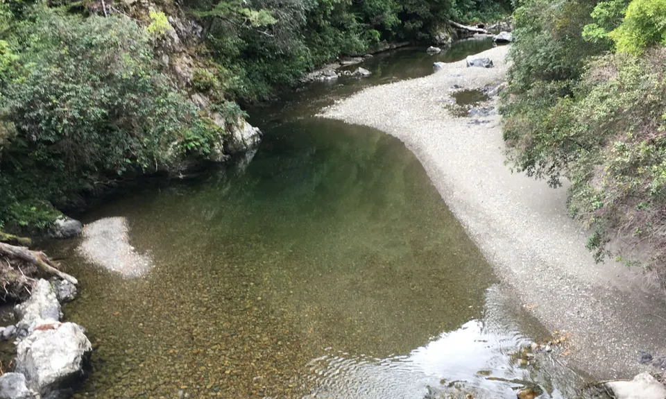 To Rivendell!, Wellington
