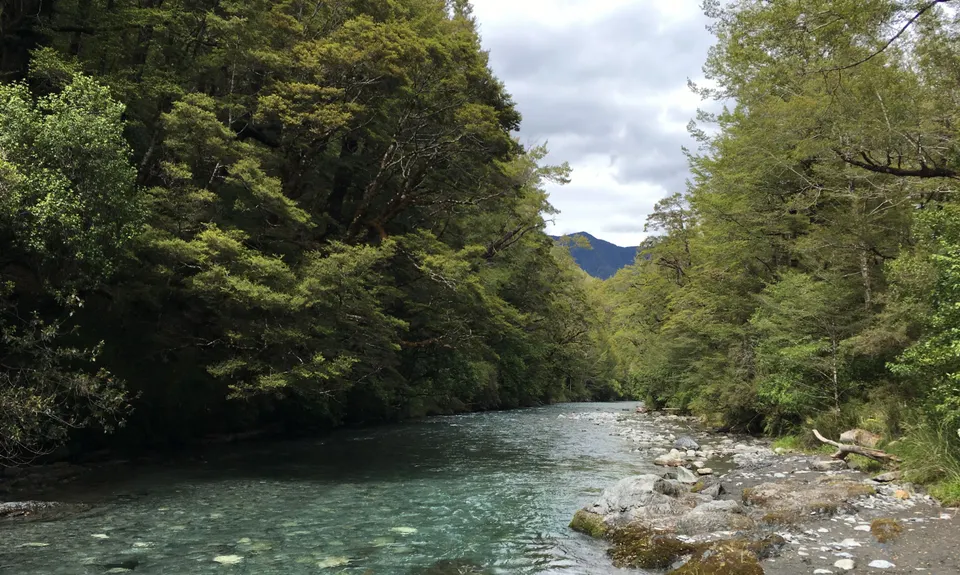 Daniells Dash, West Coast
