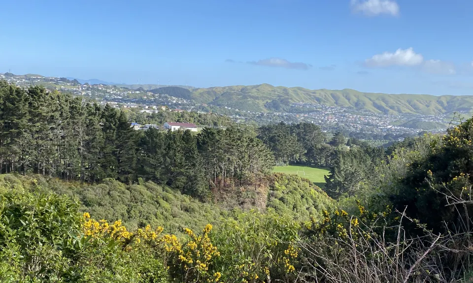 Seton Nossiter Waterfall & Lookout, Wellington
