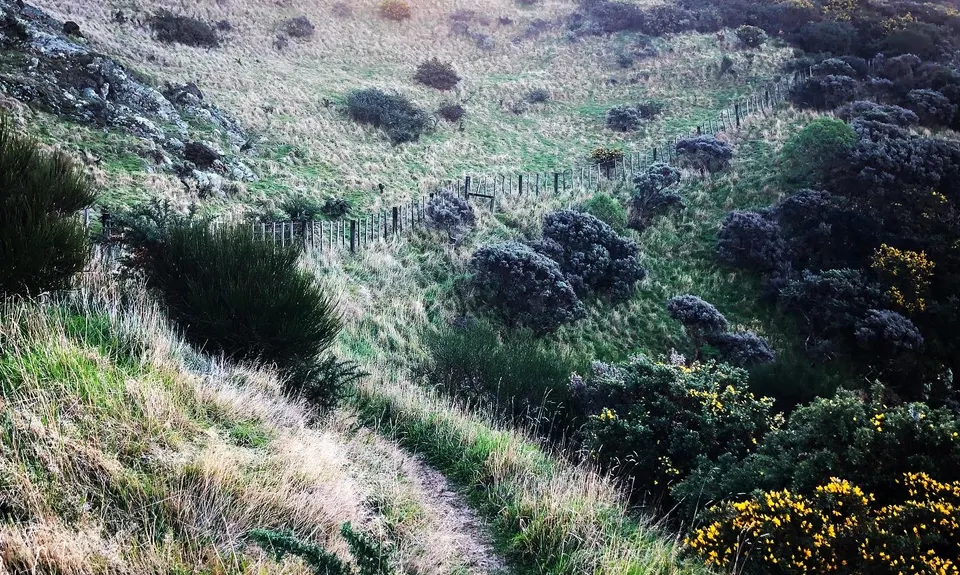 Graveyard Shift, Wellington