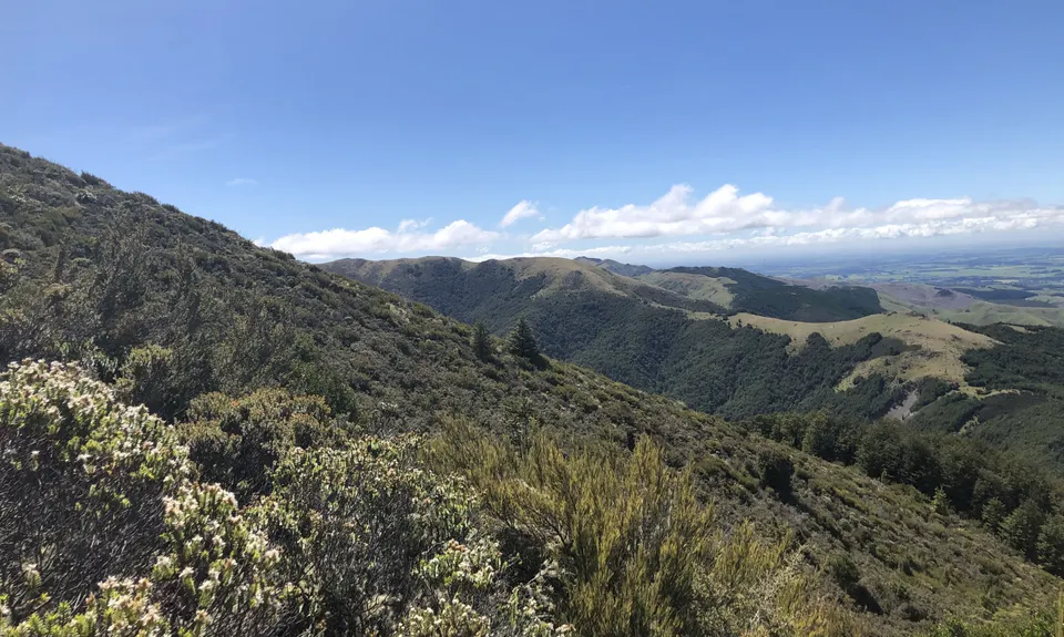 Mt Oxford Half, Canterbury
