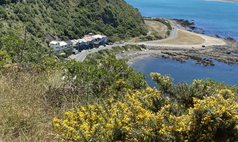 Te Raekaihau Point, Wellington