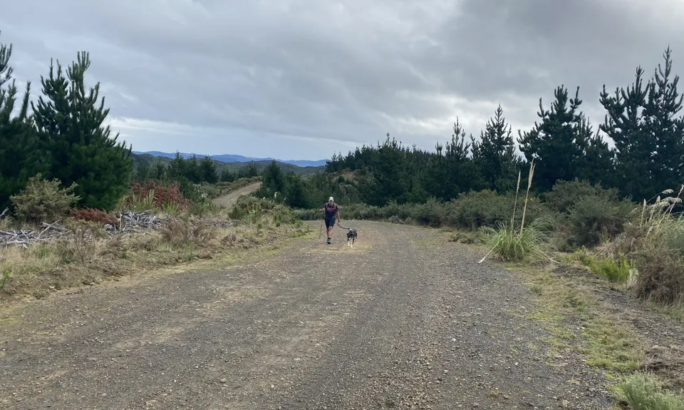 XTERRA Orongorongos Long Course, Wellington