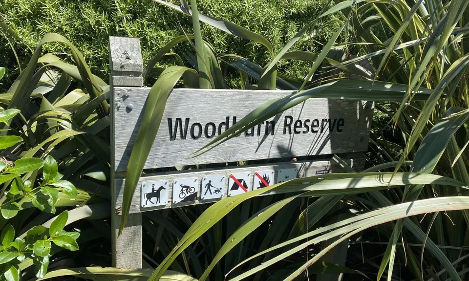 Eastern Tawa Reserves, Wellington