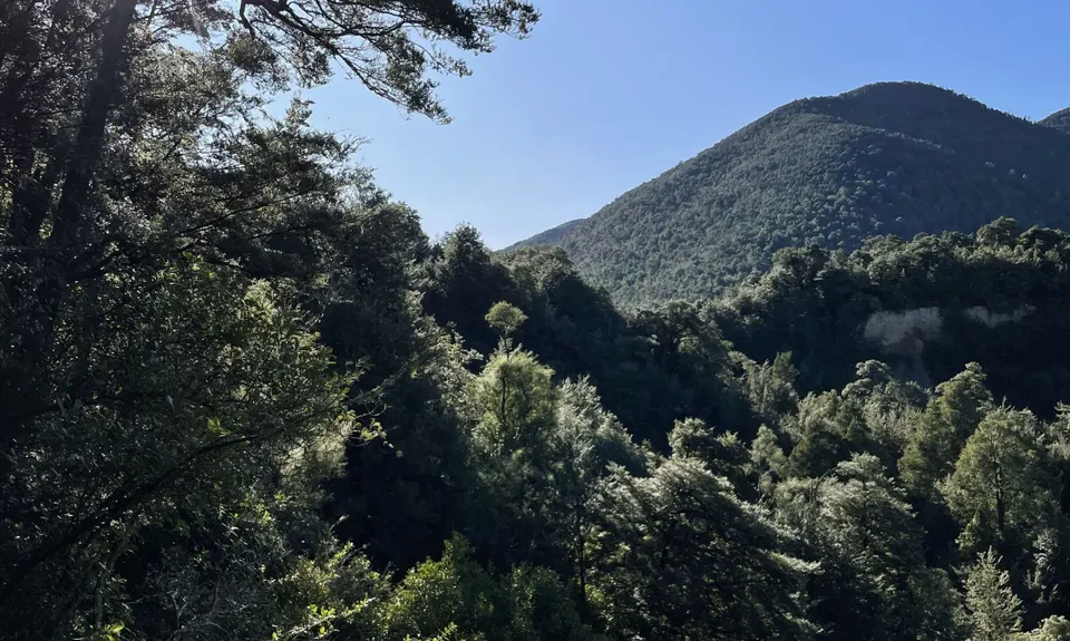 Double Mt Grey, Canterbury