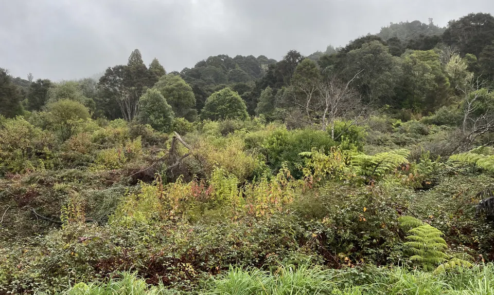 Hunua Hustle, Auckland