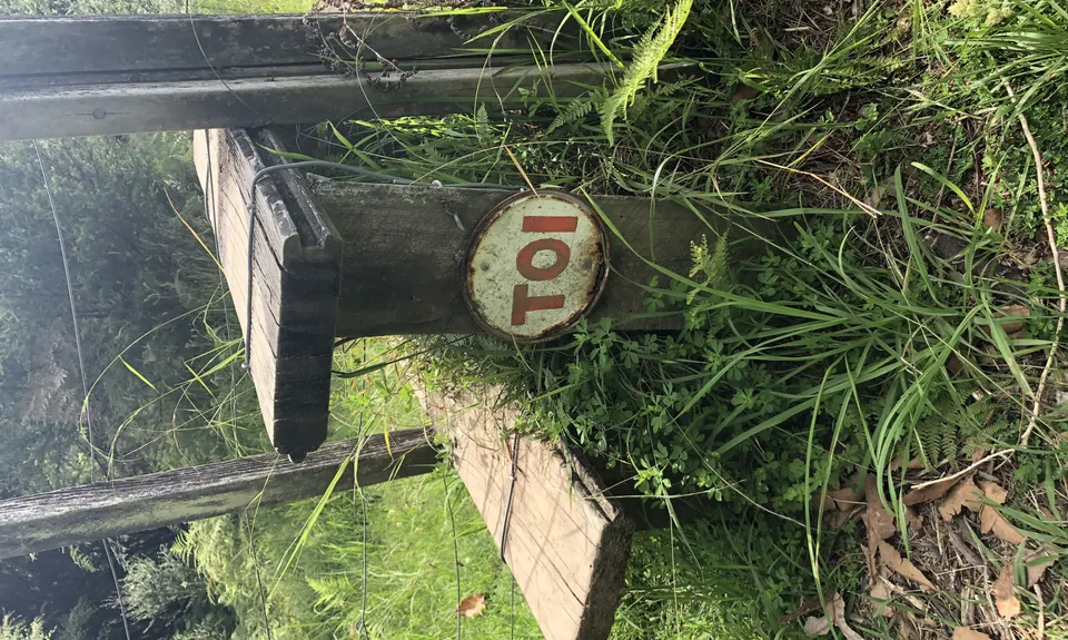 Nga Tapuwae o Toi Trail, Bay of Plenty