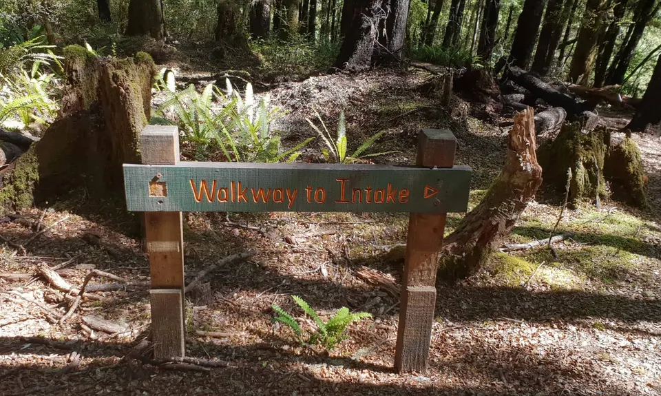 Six Mile - Matakitaki Walk, Murchison, Tasman