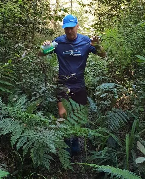 Six Mile - Matakitaki Walk, Murchison, Tasman