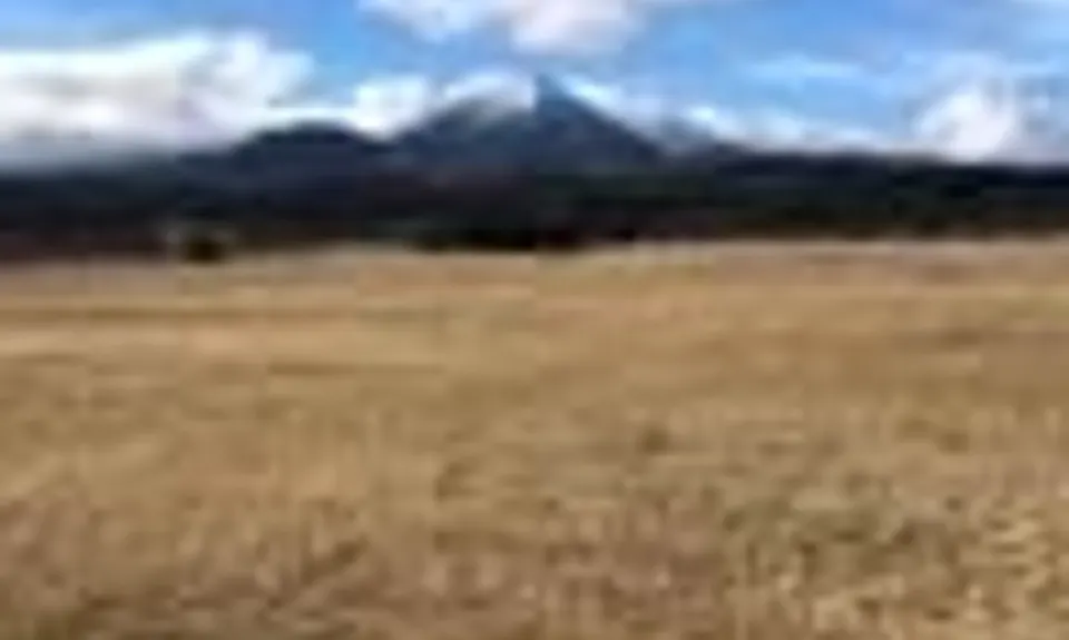 Whakapapanui Track, Manawatu - Wanganui