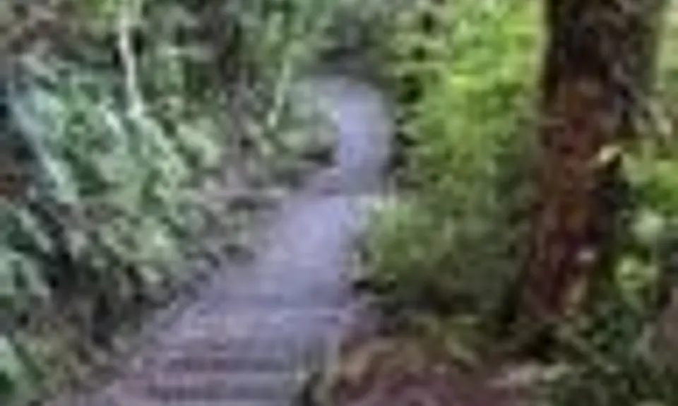 Taranaki Falls Beauty, Manawatu - Wanganui