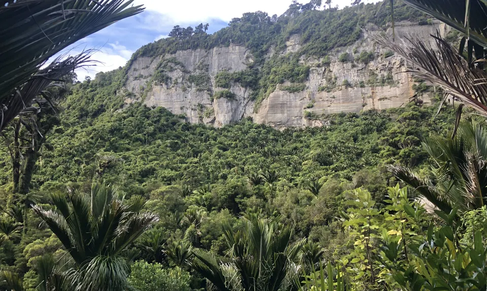 Punakaiki-Pororari loop, West Coast
