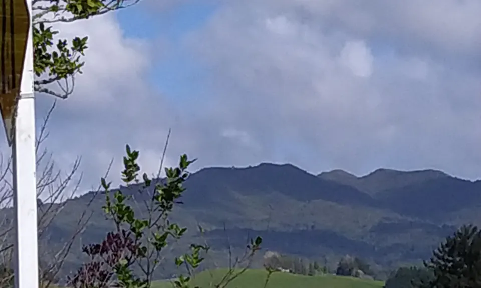 Pirongia Loop of Insanity., Waikato