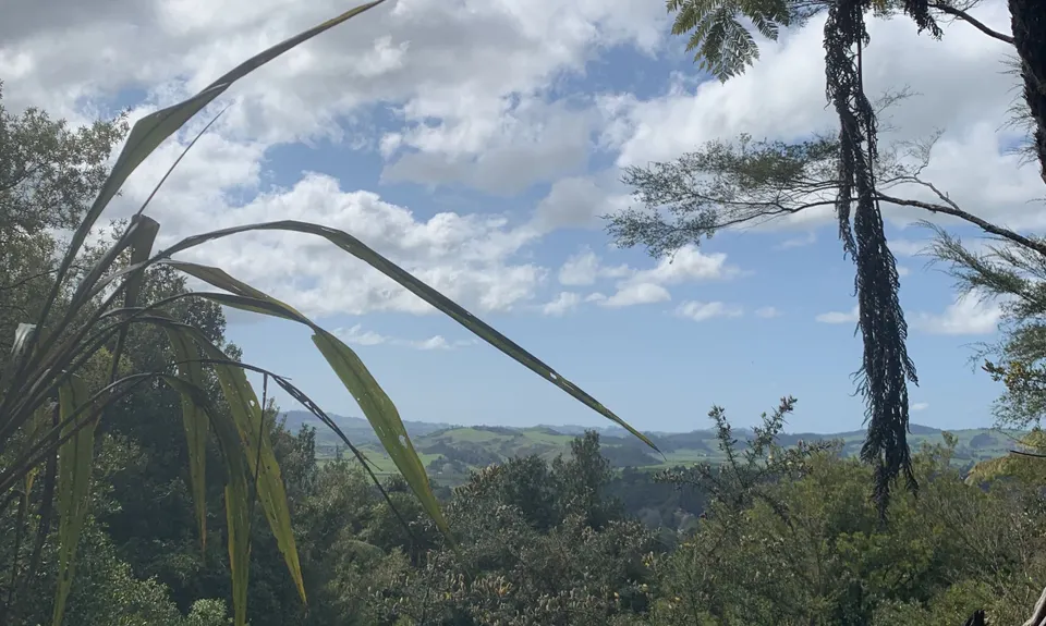 Karangahake Gold, Waikato